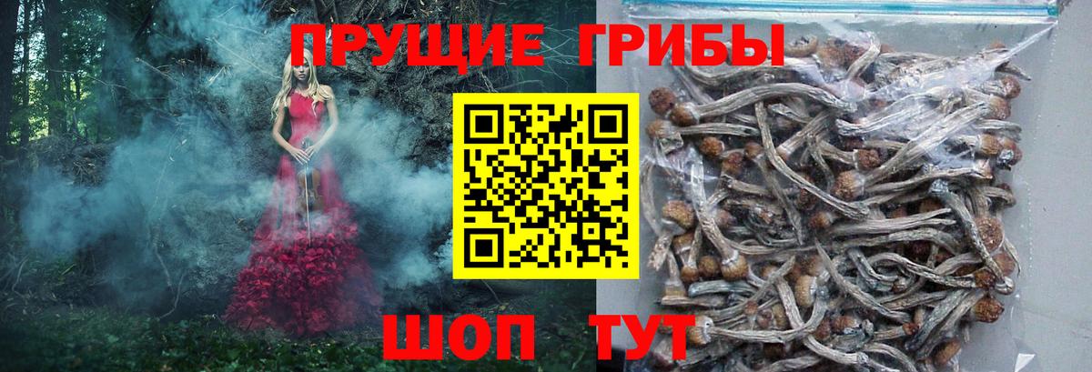 Псилоцибиновые грибы мухоморы Балашиха
