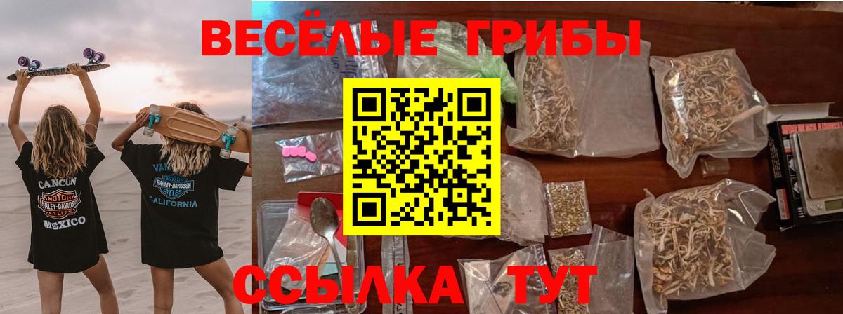 дарнет шоп  Псилоцибиновые грибы мицелий  Вход с VPN  Галлюциногенные грибы Cubensis  Балашиха 